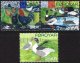 (image for) 2007 Domestic Birds