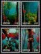 (image for) 2010 Under Sea