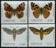 (image for) 2010 Butterflies