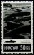 (image for) 2010 Pilot Whale