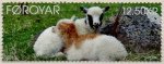 (image for) 2013 SEPAC - Lambs