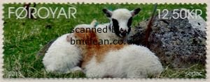 (image for) 2013 SEPAC - Lambs