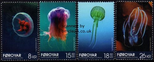 (image for) 2014 Jellyfish