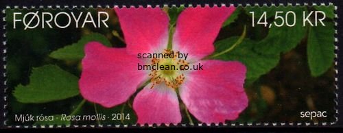 (image for) 2014 SEPAC/ Rose