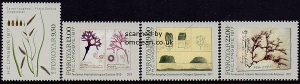 (image for) 2017 H. C. Lyngbye