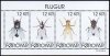 (image for) 2018 Flies (M/S)
