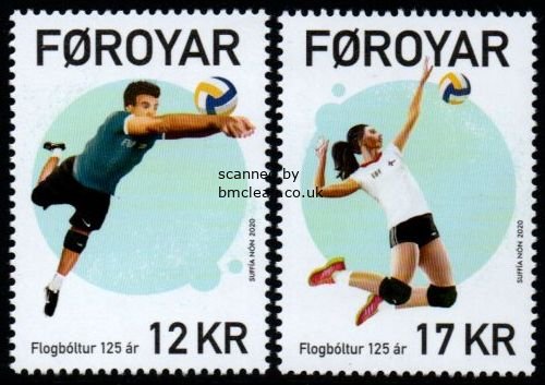 (image for) 2020 Volleyball