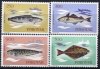 (image for) 1983 Fishes