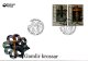 (image for) 2008 Ancient Crosses