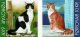 (image for) 2011 Domestic Cats S/A