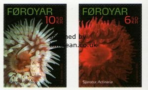 (image for) 2012 Sea Anemones S/A