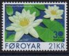 (image for) 2023 White Water-Lily
