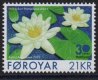 (image for) 2023 White Water-Lily