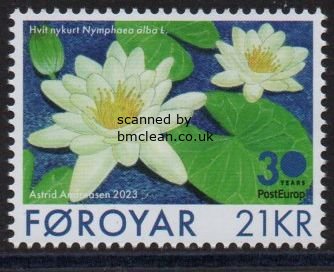 (image for) 2023 White Water-Lily