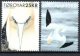(image for) 2025 Northern Gannet