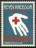 (image for) 2026 Red Cross Centenary