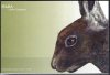 (image for) 2005 Snow Hare (Booklet)