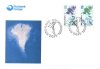 (image for) 1996 Chart & Compass Rose (10 Kr & 16 Kr)