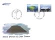 (image for) 2004 Island Definitives (2v)