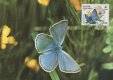 (image for) 1990 Red Cross Butterfly Maxi Card