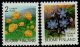 (image for) 1992 Provincial Plants I