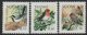 (image for) 1992 Birds