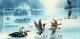 (image for) 1993 Water Birds