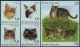 (image for) 1995 Cats
