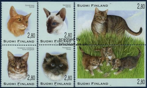 (image for) 1995 Cats