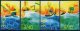 (image for) 1996 Olympic Water Sports