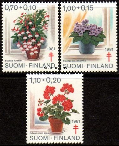 (image for) 1981 Tuberculosis Relief Fund