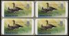 (image for) 1999 Goose (Fixed Values)