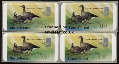 (image for) 1999 Goose (Fixed Values)