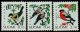 (image for) 1991 Birds