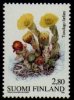 (image for) 1998 Spring - Coltsfoot