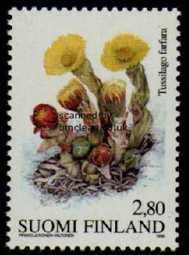 (image for) 1998 Spring - Coltsfoot