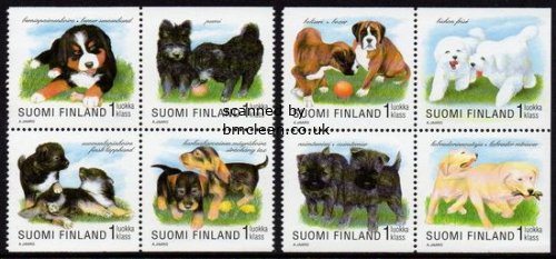 (image for) 1998 World Dog Show