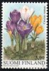 (image for) 1999 Easter Crocuses