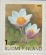 (image for) 2000 Provincial Plants