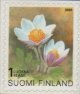 (image for) 2000 Provincial Plants