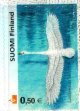 (image for) 2002 Whooper Swan