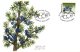 (image for) 2002 Juniper