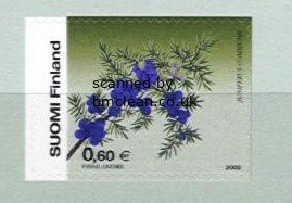 (image for) 2002 Juniper