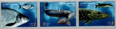 (image for) 2003 Provincial Fish