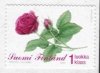 (image for) 2004 Rose