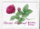 (image for) 2004 Rose