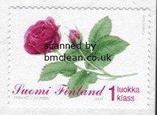 (image for) 2004 Rose