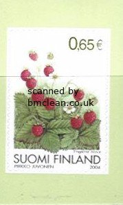 (image for) 2004 Strawberry