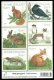 (image for) 2004 Fauna M/S