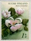 (image for) 2005 Apple Blossom